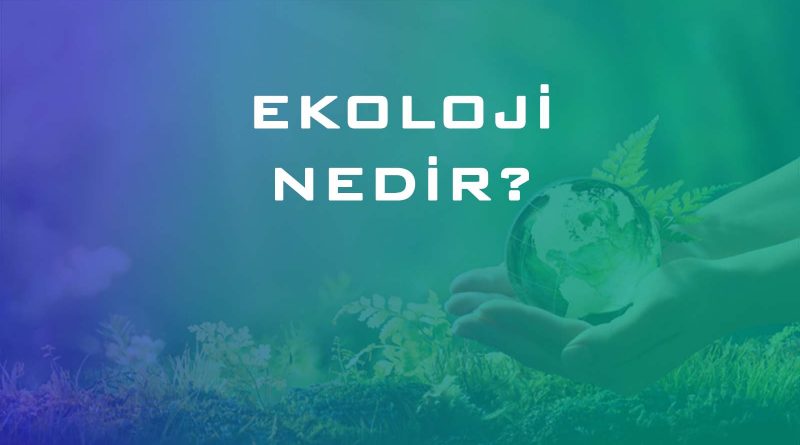 ekoloji nedir